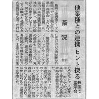 shizuoka-shinbun-1