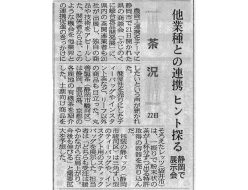 shizuoka-shinbun-1